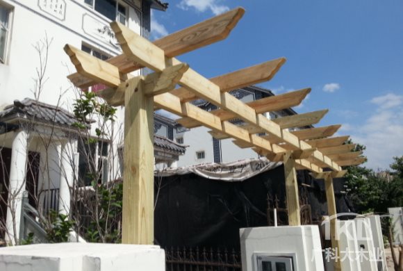 门头木花架888.jpg